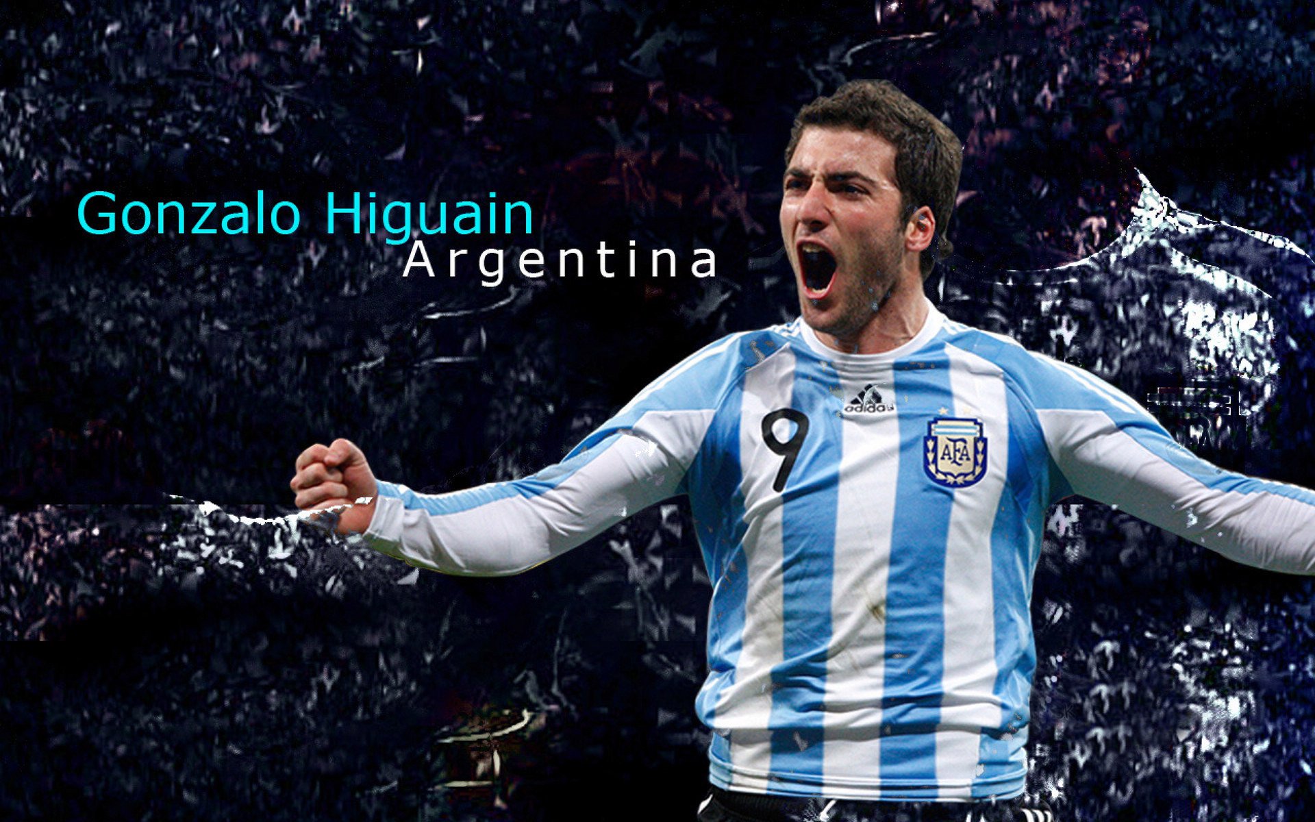 “庆典盛典：年度最盛大明星庆典回顾”，明星盛典晚会