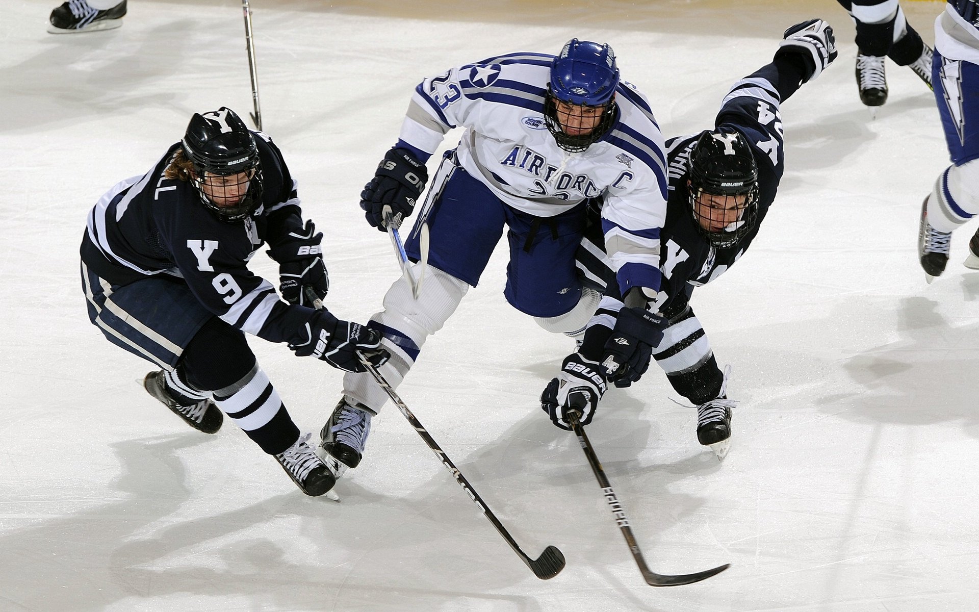 “青训+产业”融合创新，行业发展突破瓶颈迈上新台阶